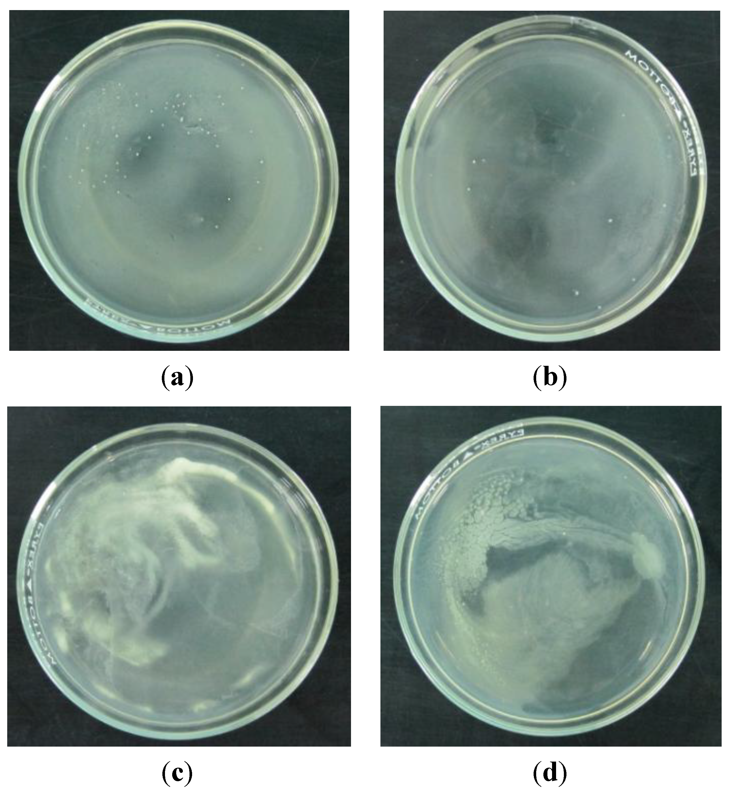 Coatings 04 00320 g003