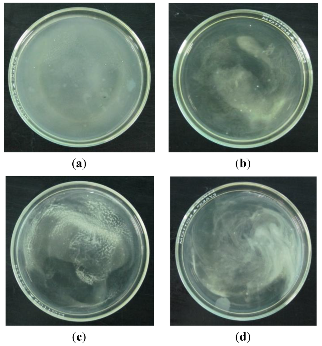 Coatings 04 00320 g004 1024