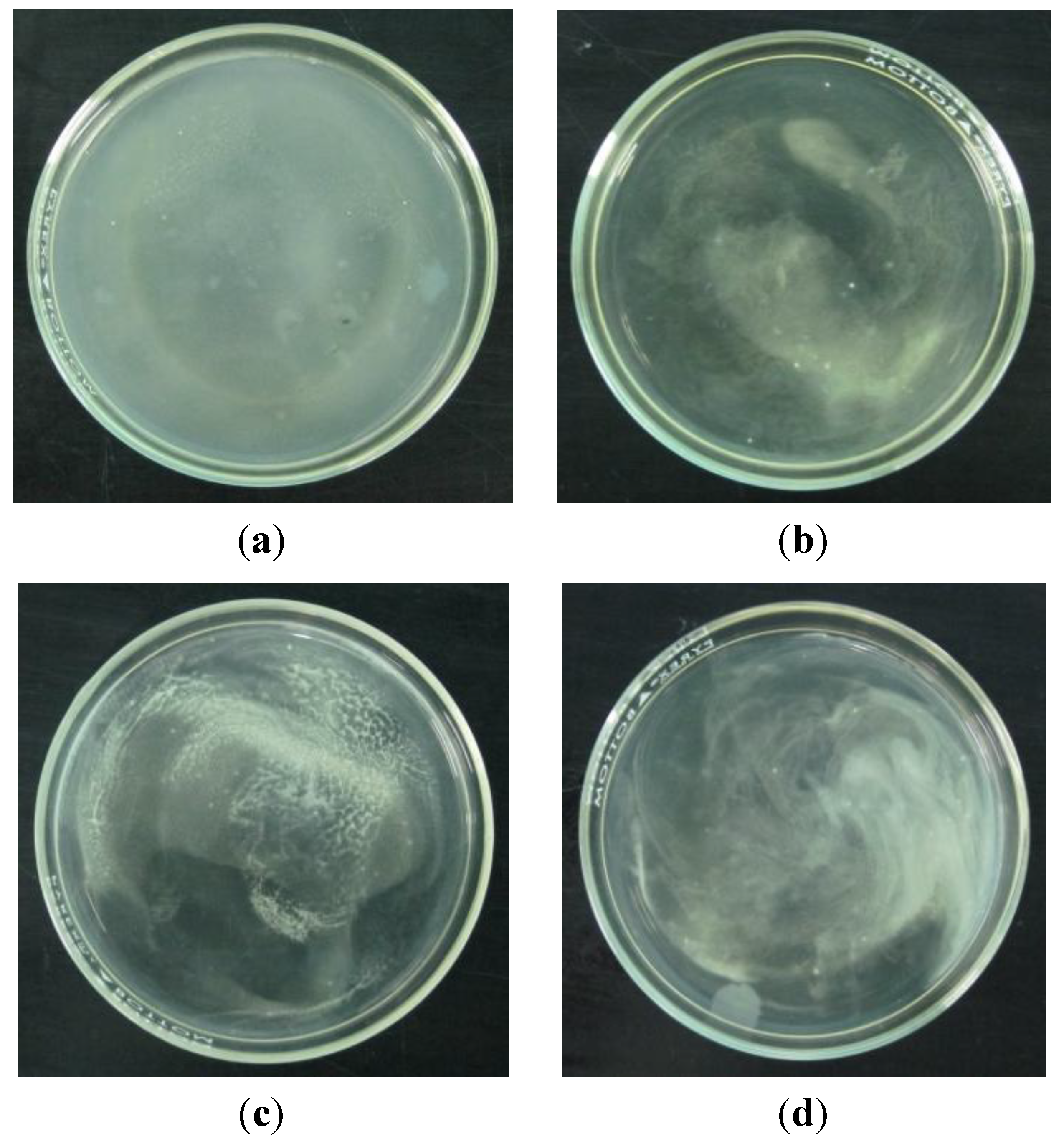 Coatings 04 00320 g004