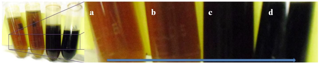 Coatings 04 00340 g007 1024