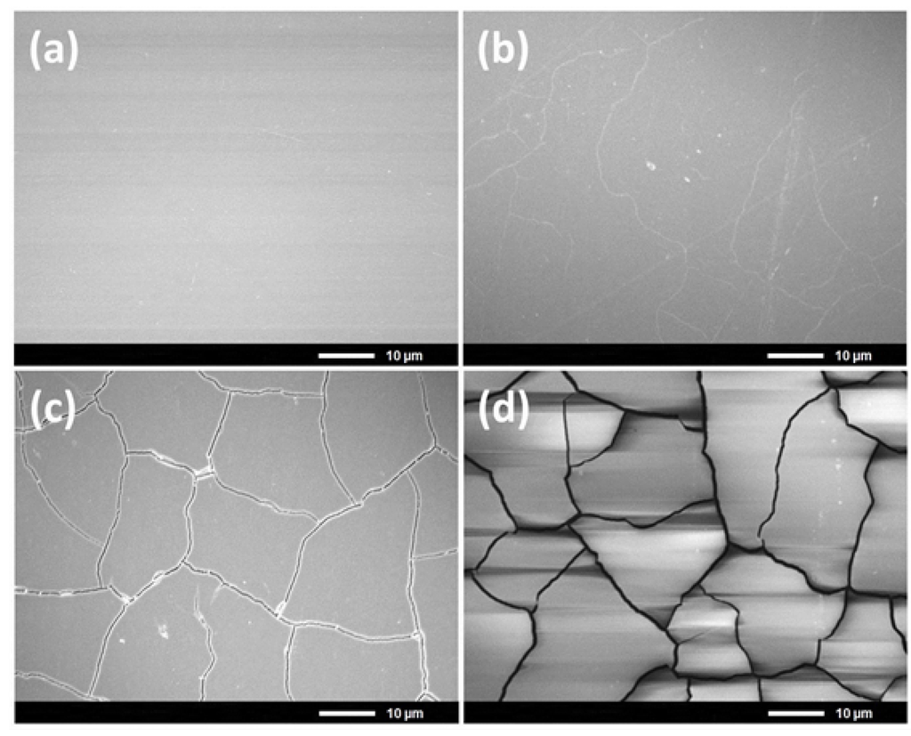 Coatings 04 00497 g002 1024
