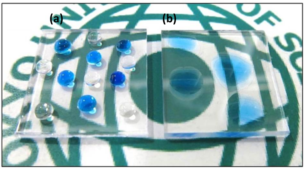 Coatings 04 00497 g006 1024