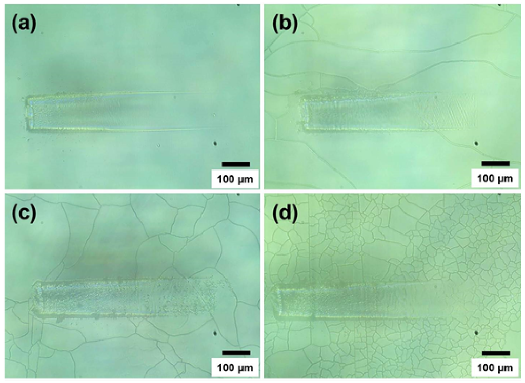 Coatings 04 00497 g009 1024