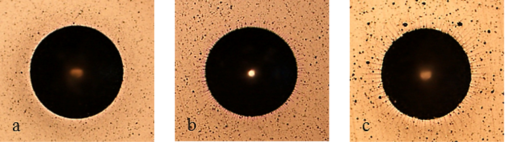 Coatings 04 00508 g002 1024