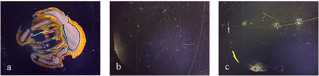 Coatings 04 00508 g008 1024