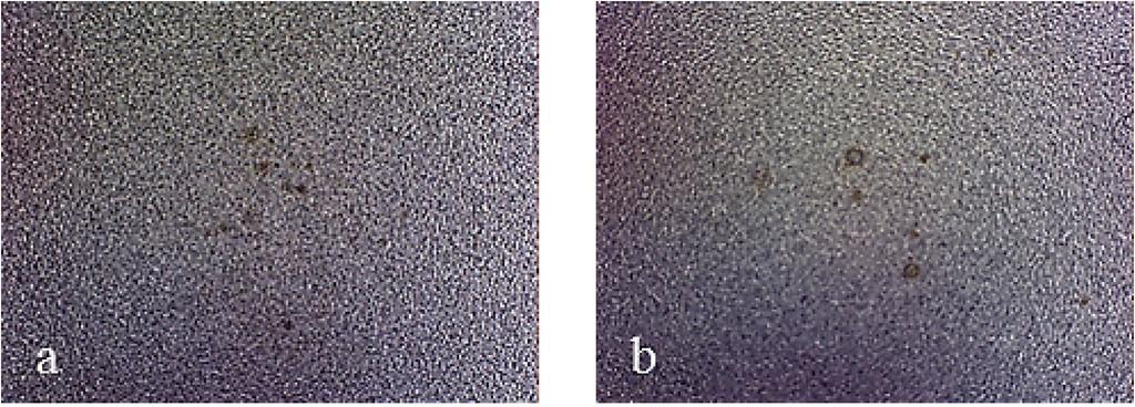 Coatings 04 00508 g013 1024