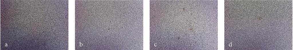 Coatings 04 00508 g014 1024