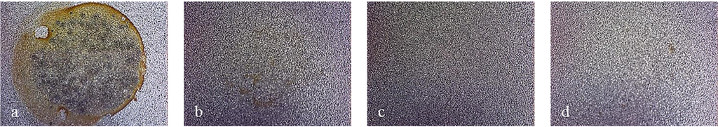 Coatings 04 00508 g015 1024