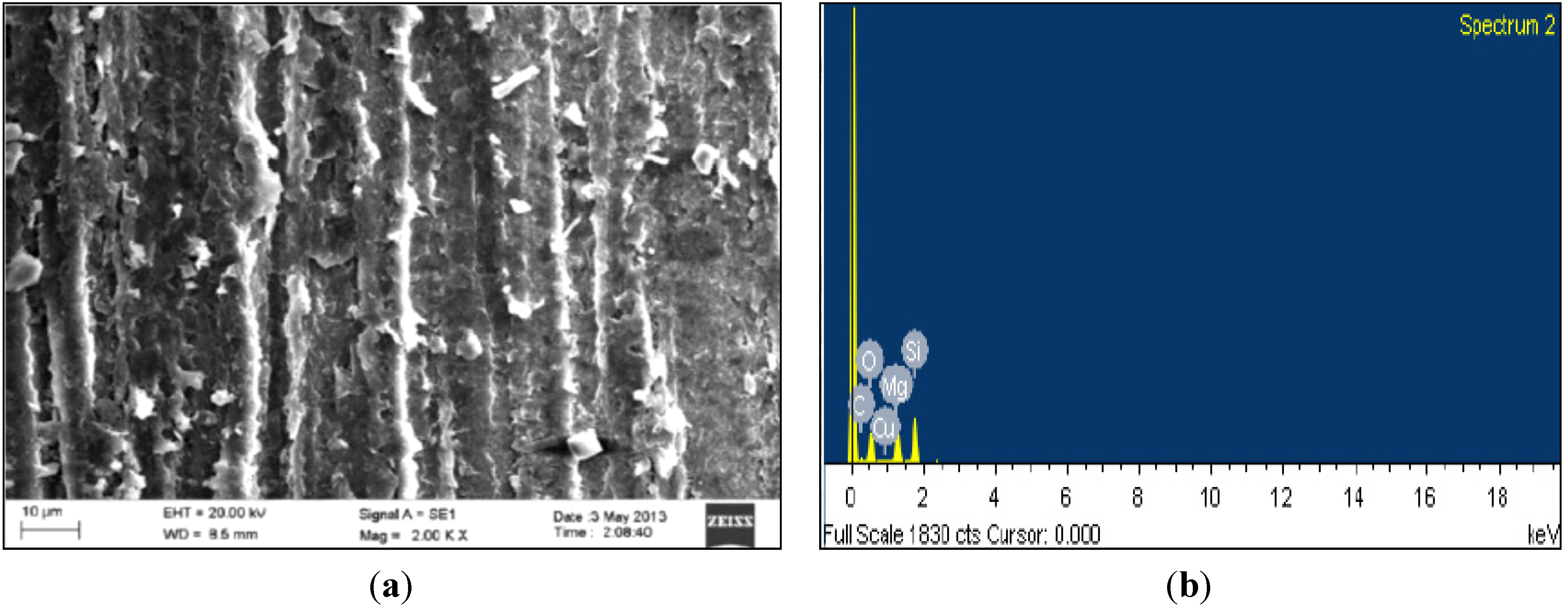 Coatings 04 00574 g002