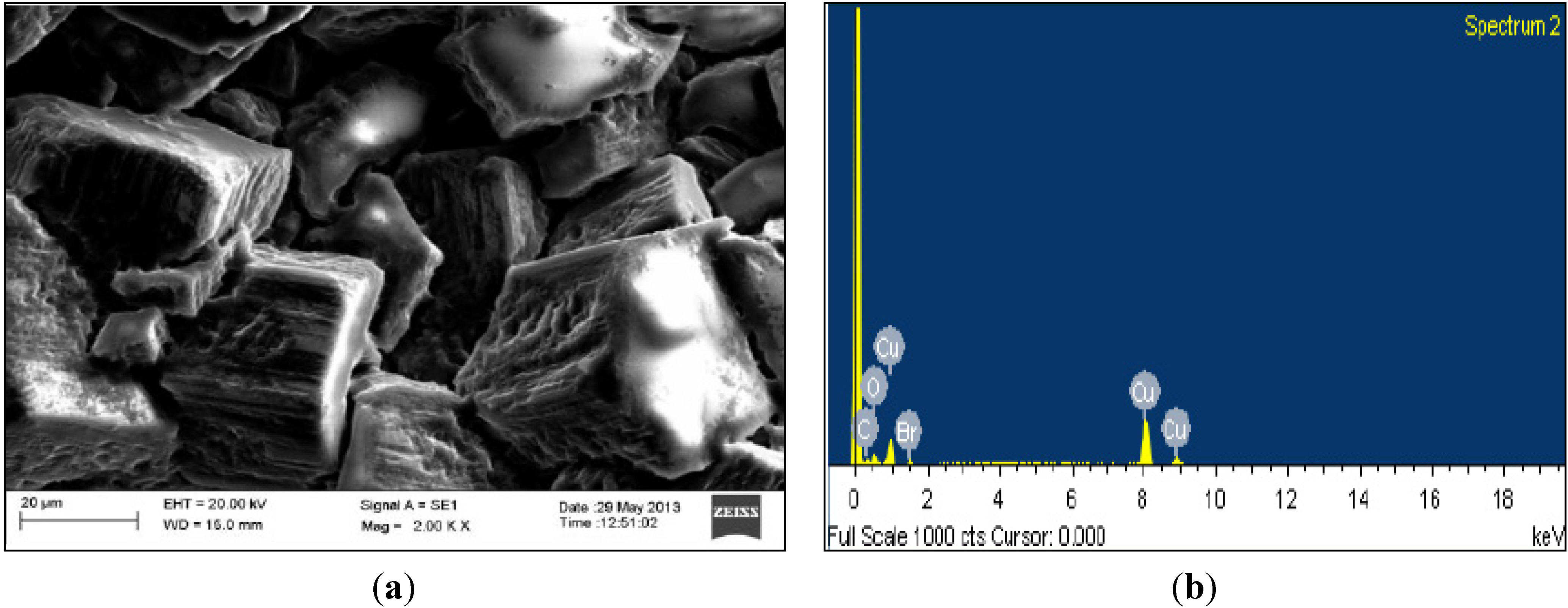 Coatings 04 00574 g003