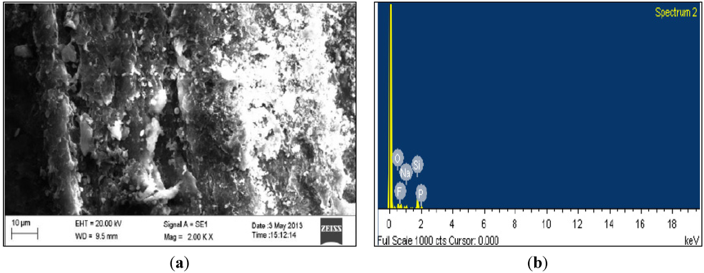 Coatings 04 00574 g004 1024