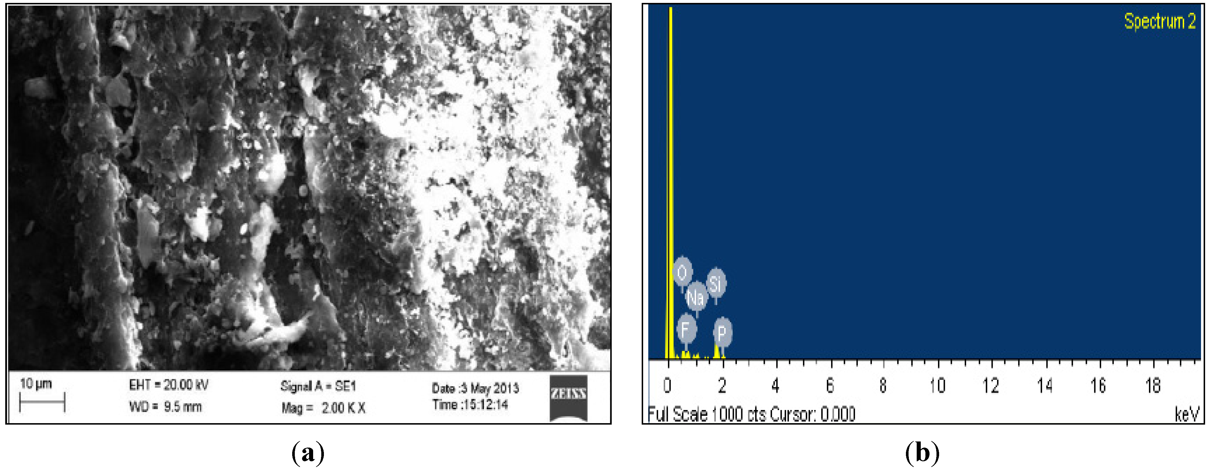 Coatings 04 00574 g004