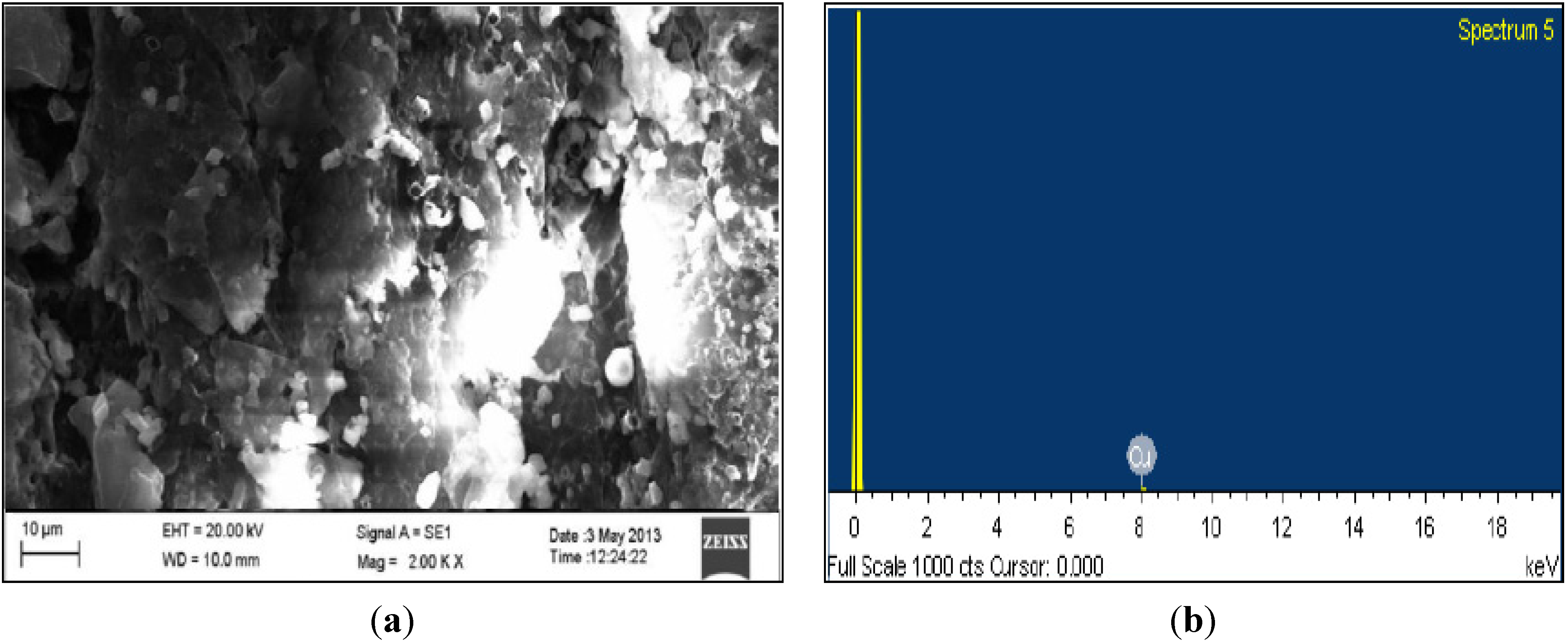 Coatings 04 00574 g006