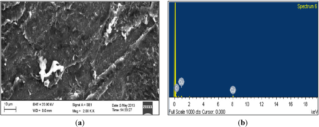 Coatings 04 00574 g007 1024