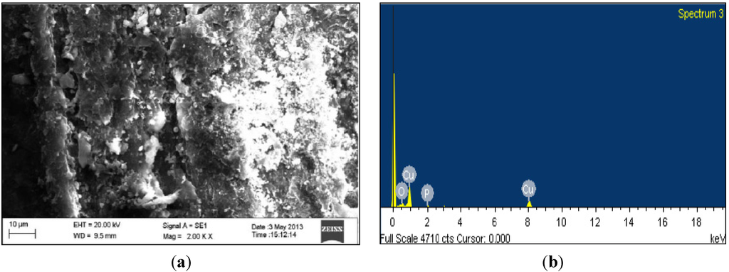 Coatings 04 00574 g008 1024