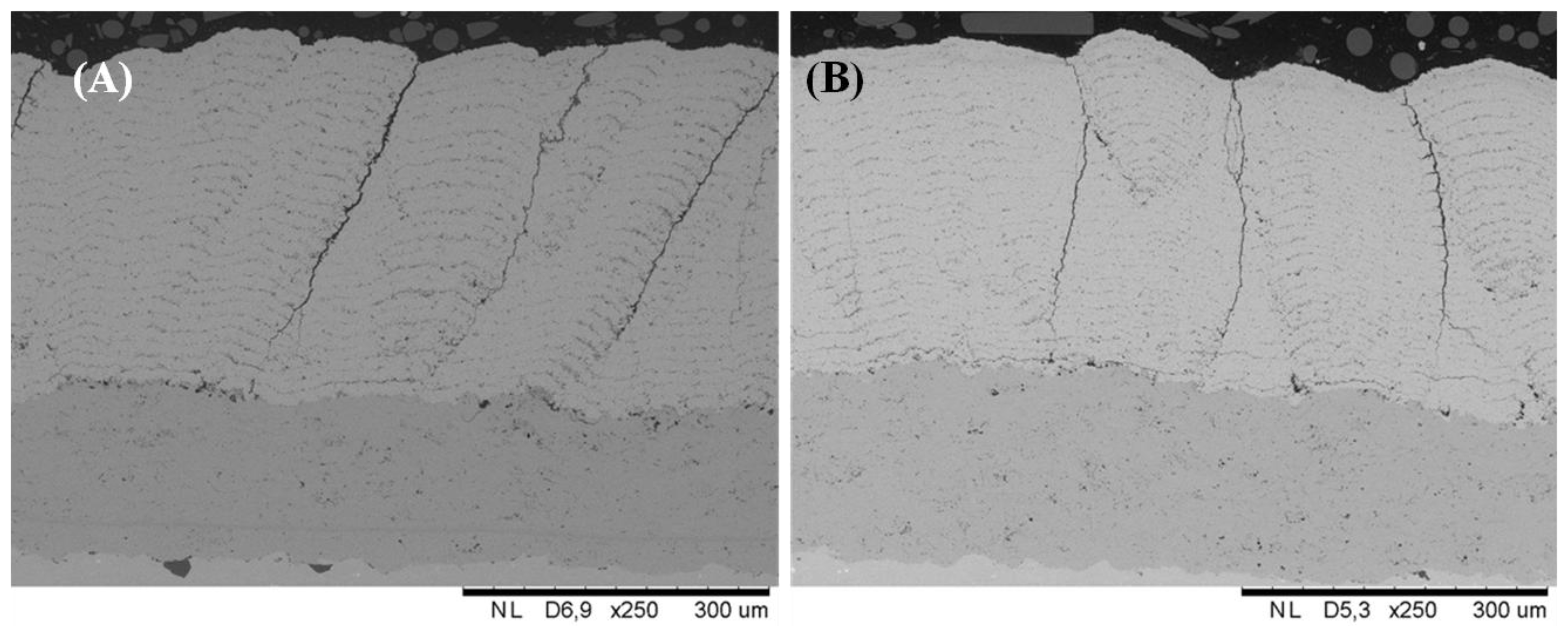 Coatings 04 00630 g003