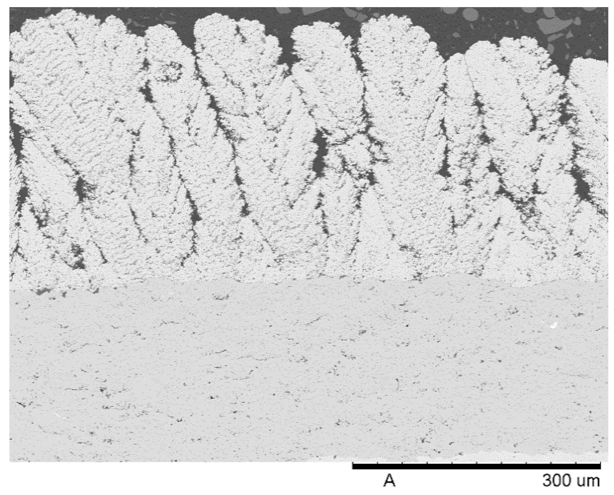 Coatings 04 00630 g004