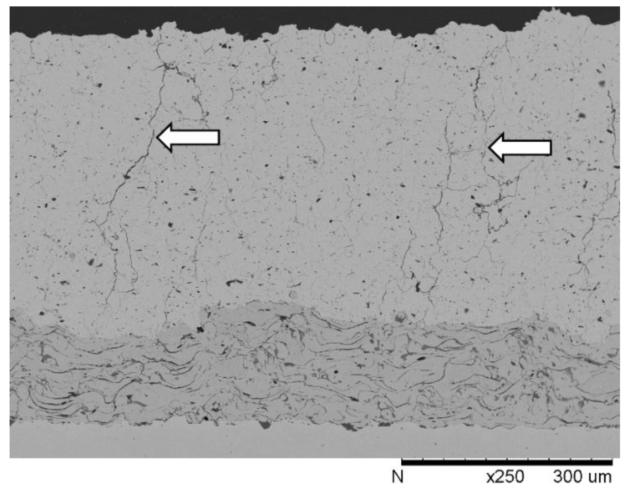 Coatings 04 00630 g005