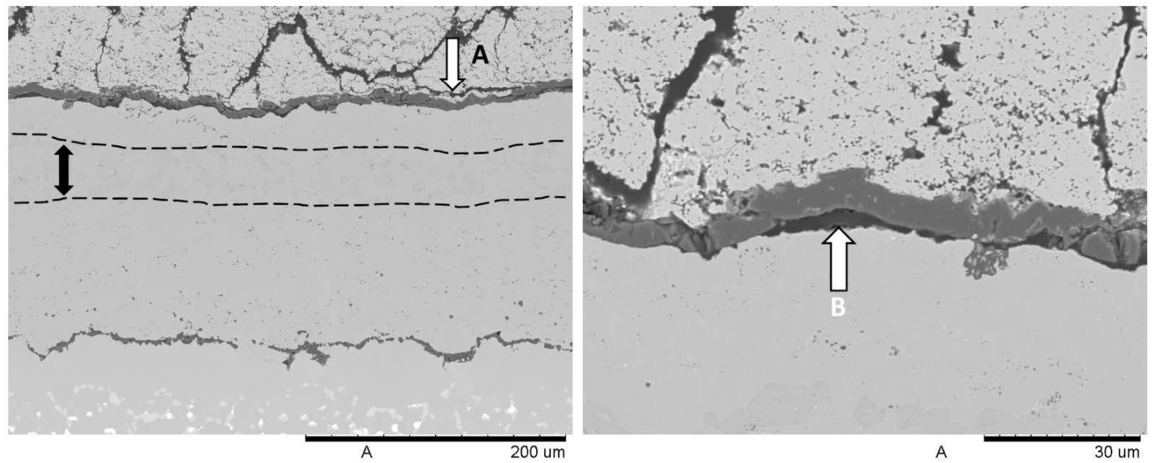 Coatings 04 00630 g010