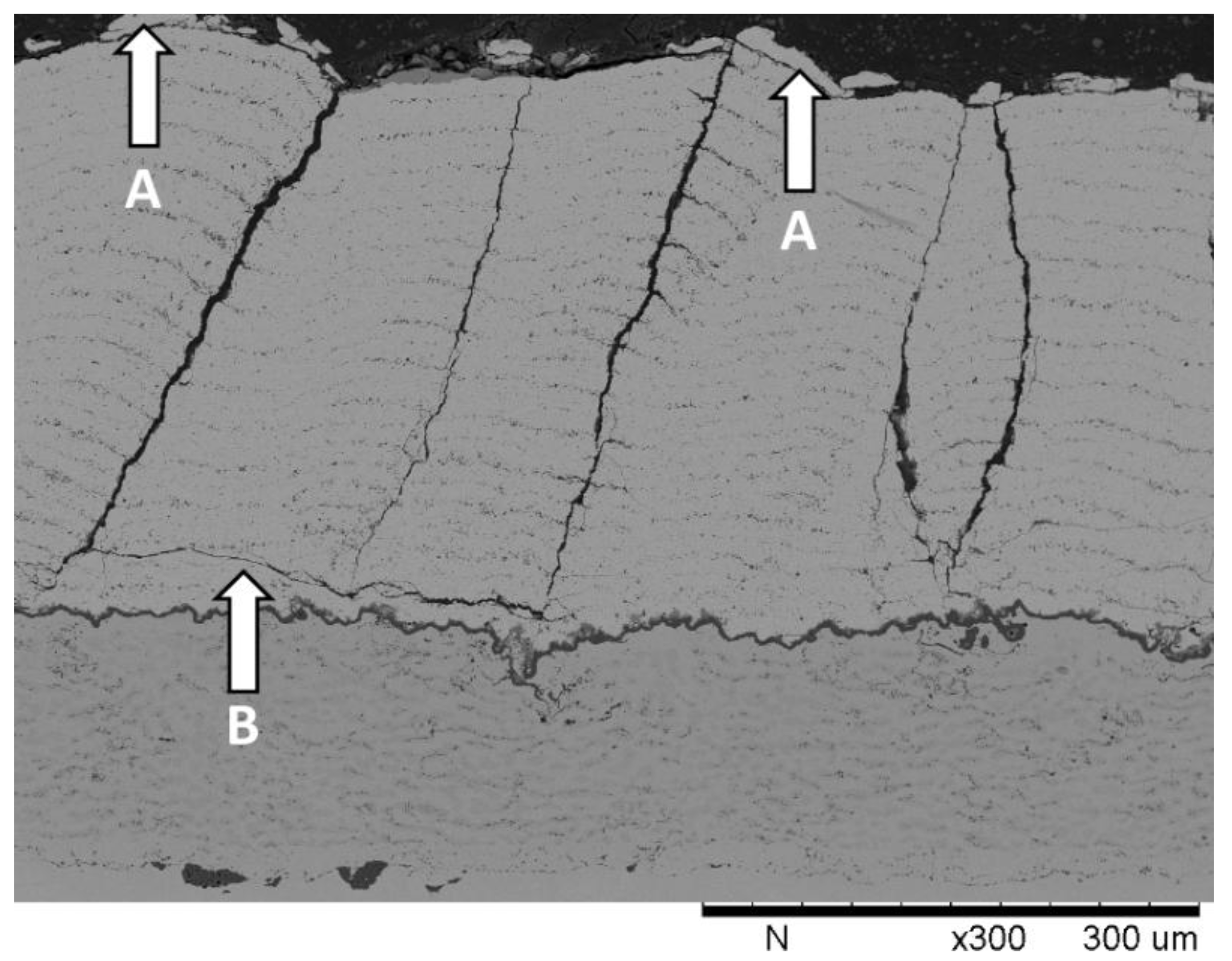 Coatings 04 00630 g012