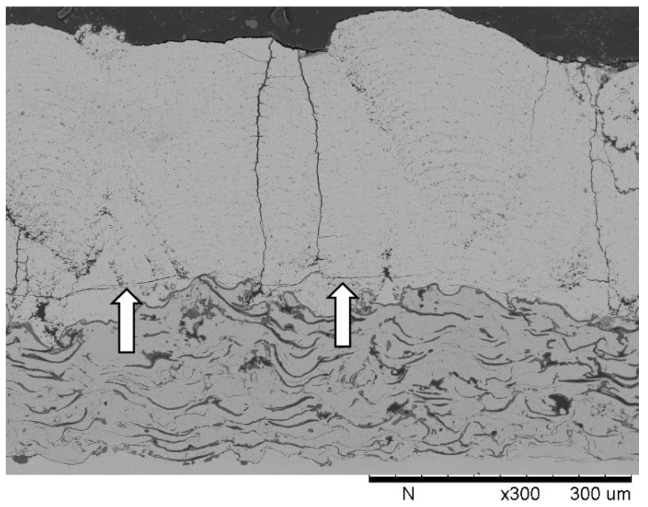 Coatings 04 00630 g013