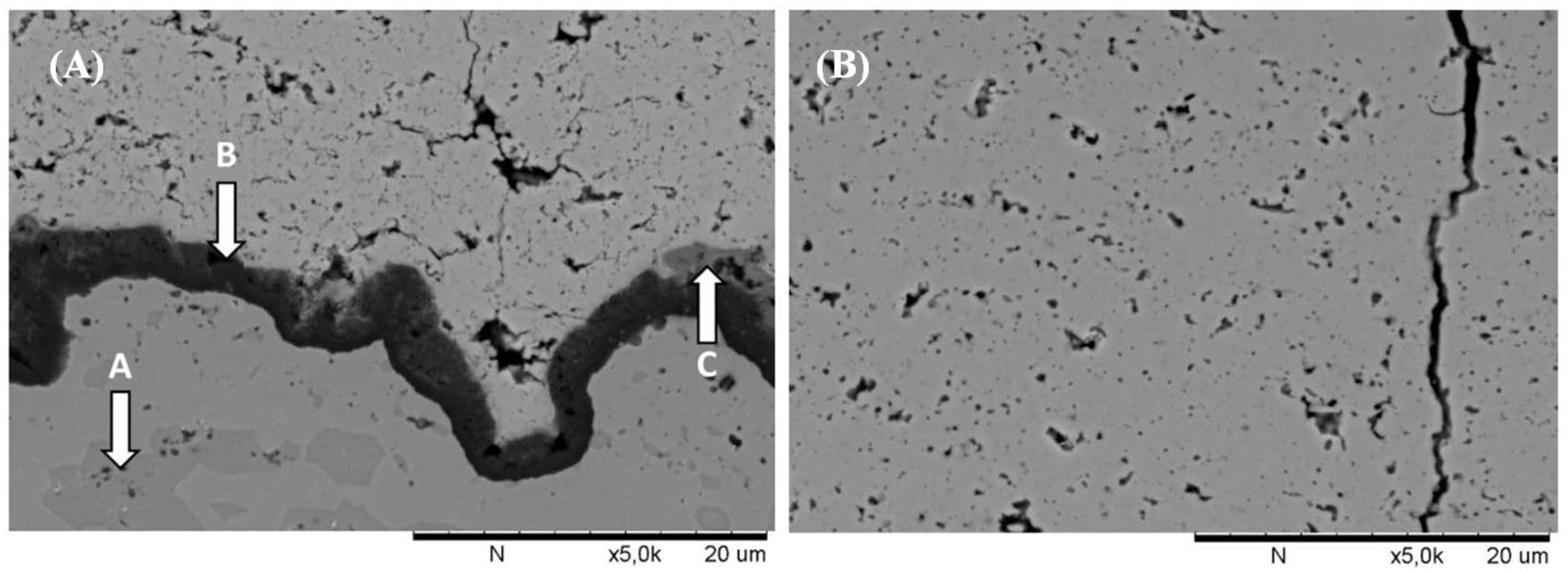 Coatings 04 00630 g014