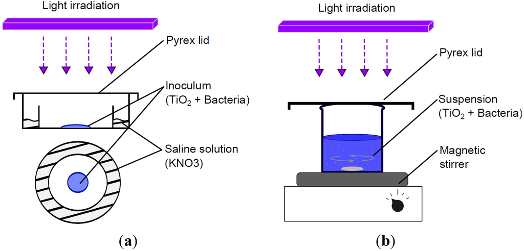 Coatings 04 00670 g001 1024