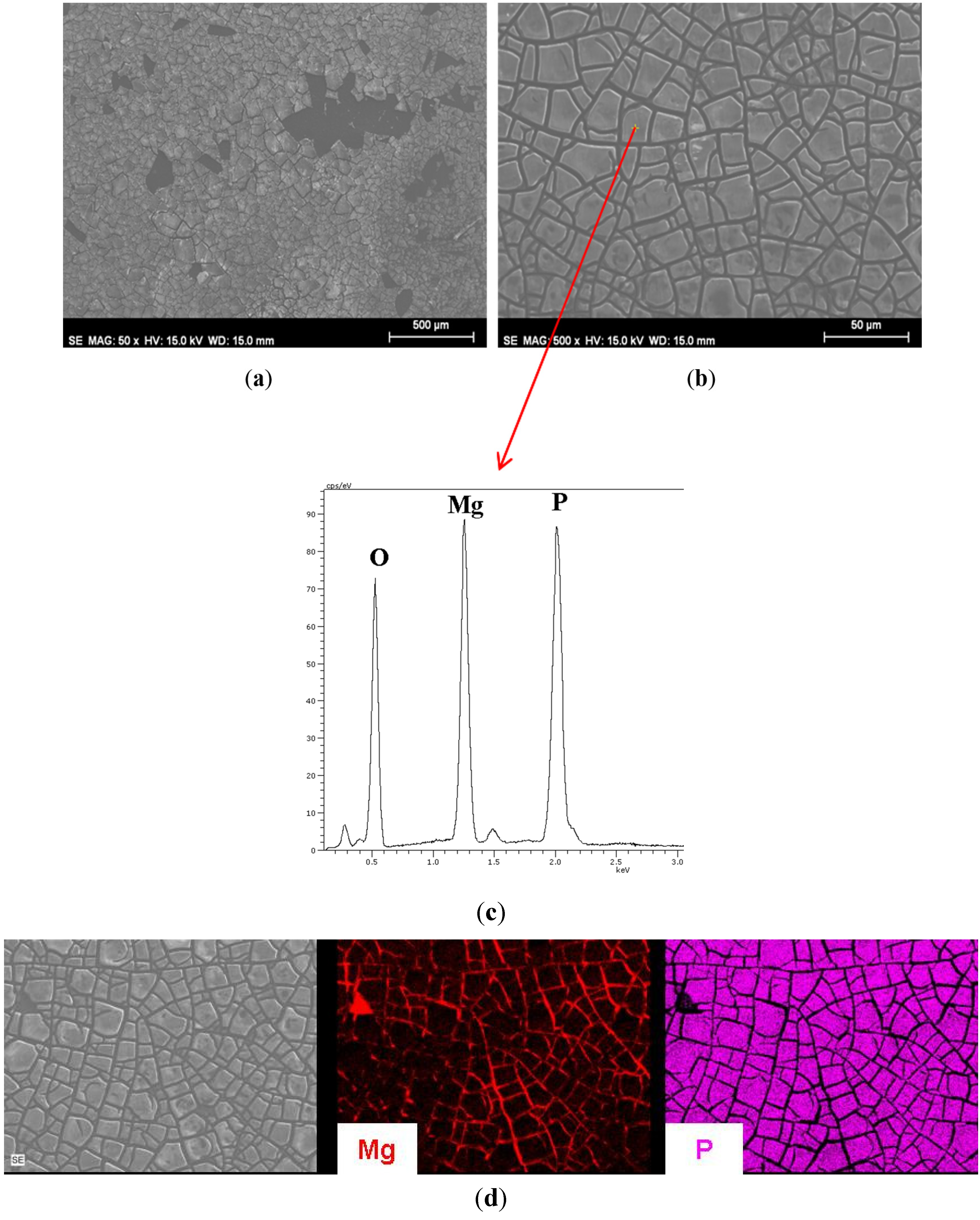 Coatings 05 00039 g003