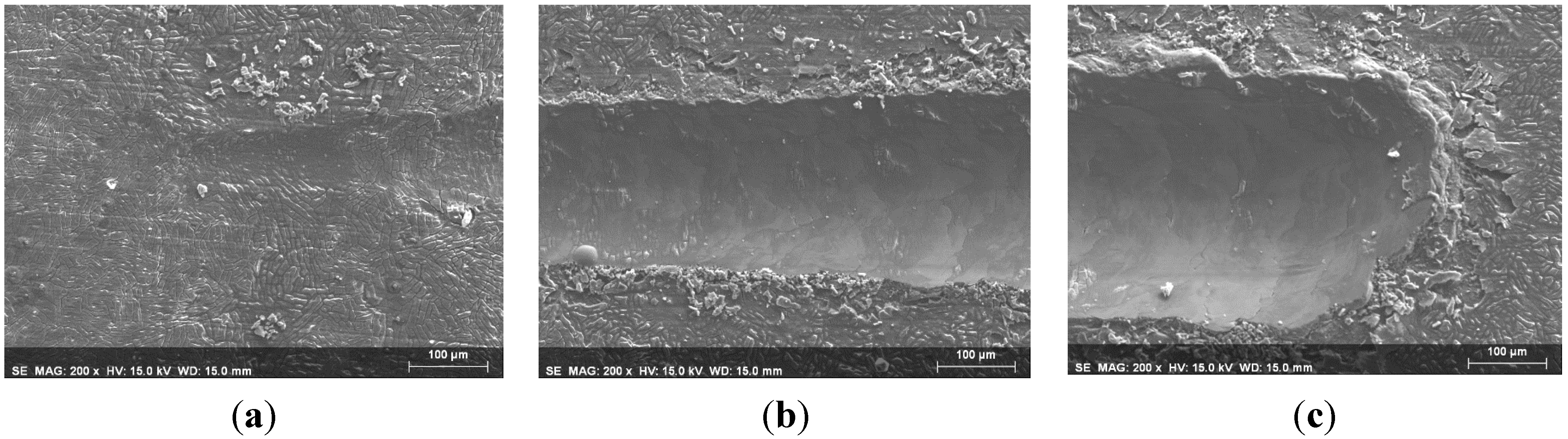 Coatings 05 00039 g011