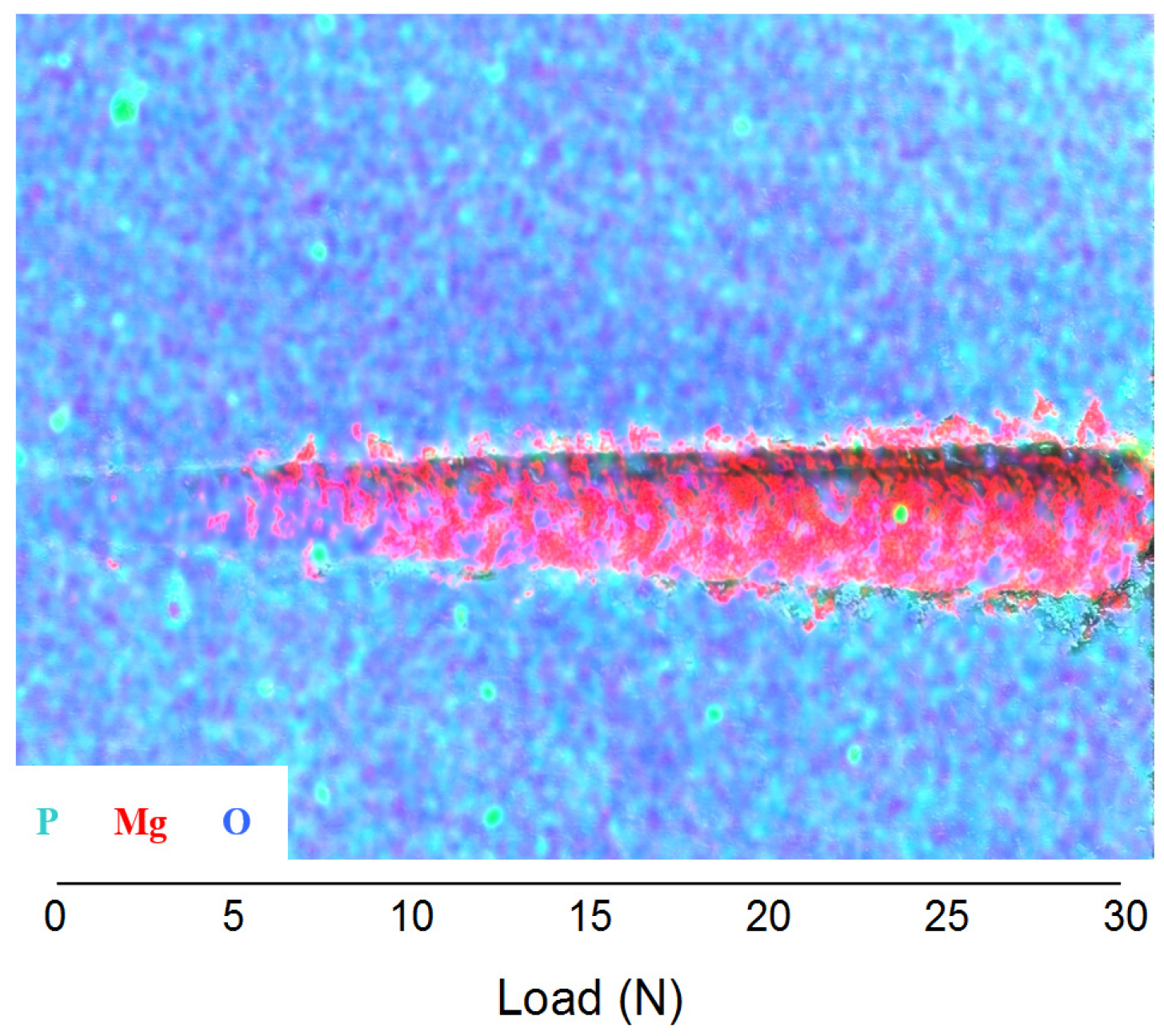 Coatings 05 00039 g012