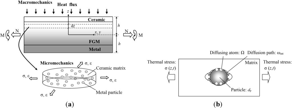 Coatings 05 00063 g001 1024