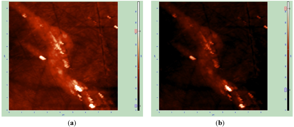 Coatings 05 00078 g006 1024