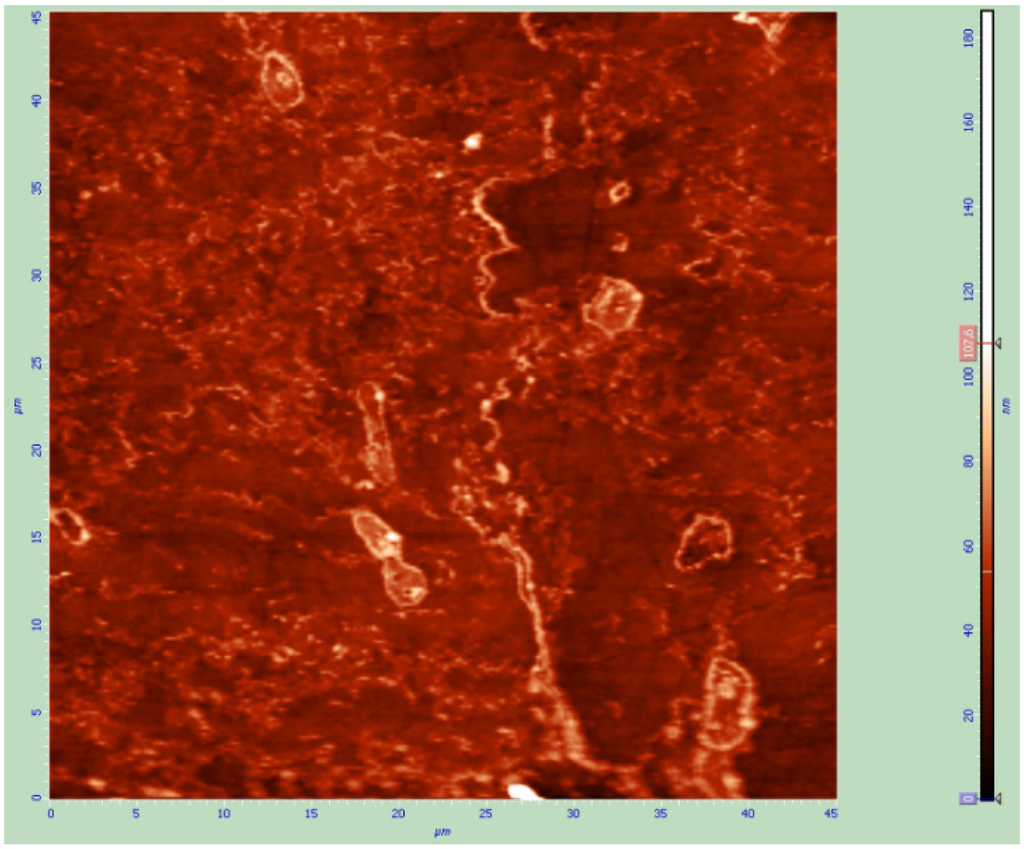 Coatings 05 00078 g007 1024