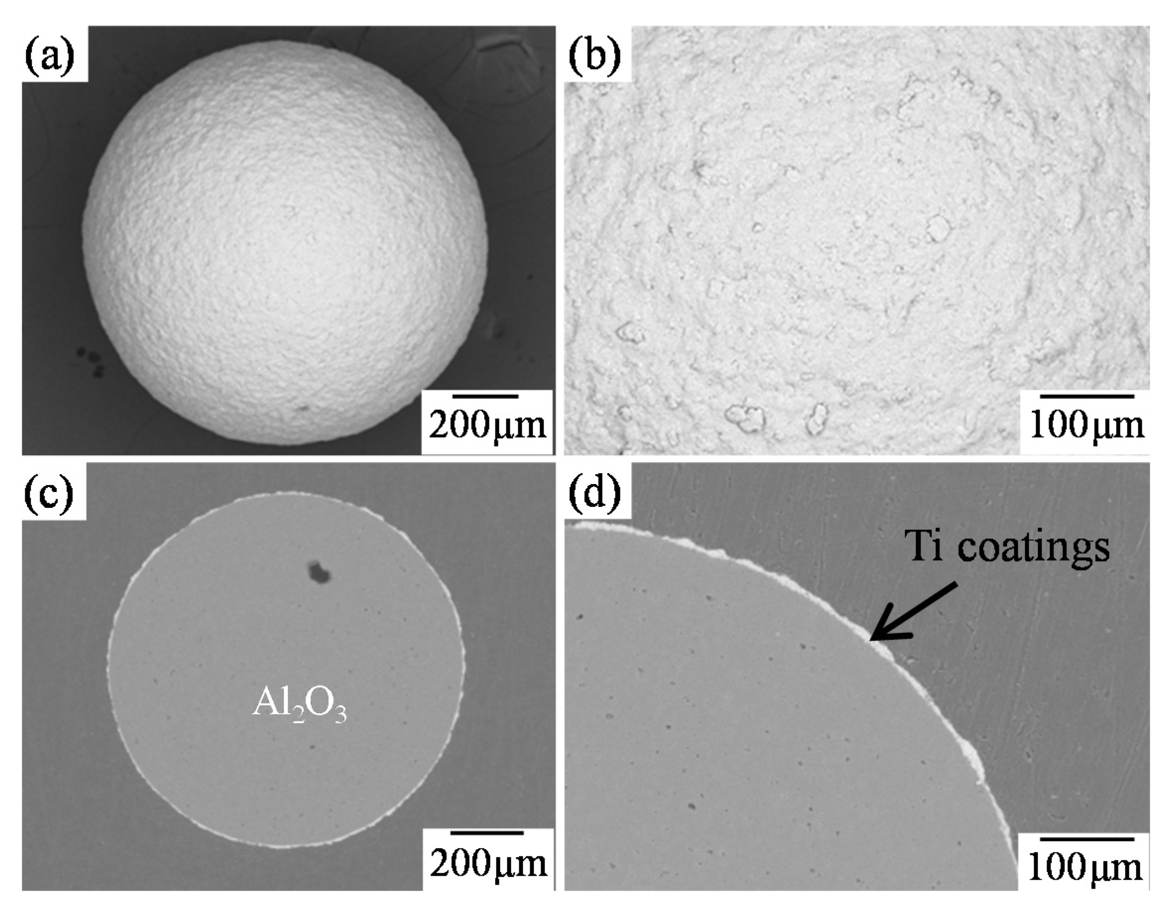 Coatings 05 00425 g007