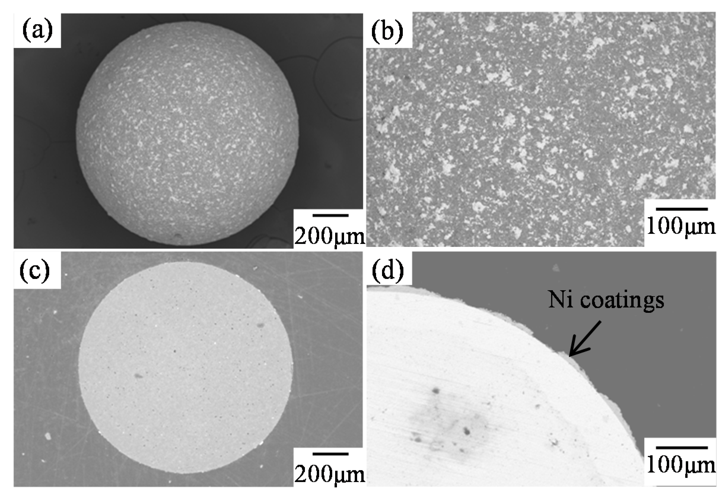 Coatings 05 00425 g009
