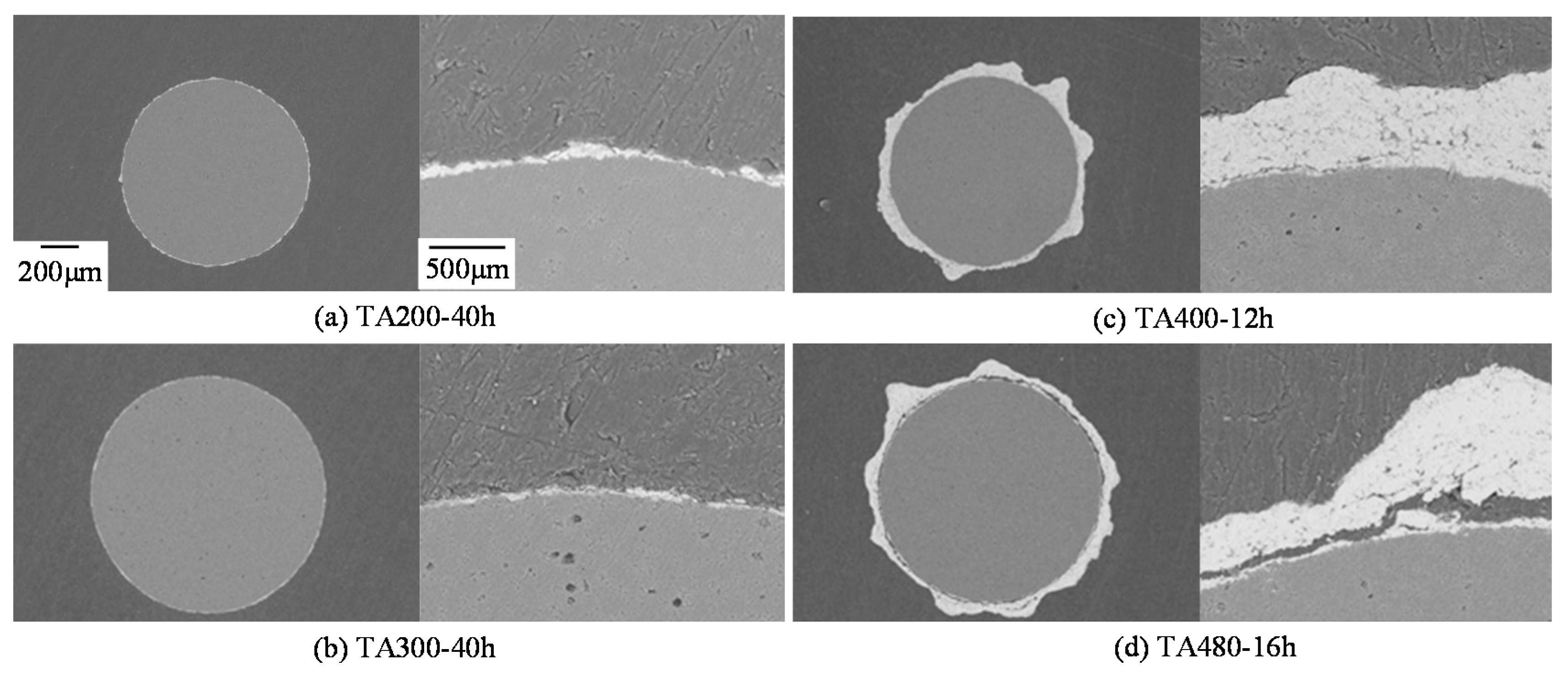 Coatings 05 00425 g018