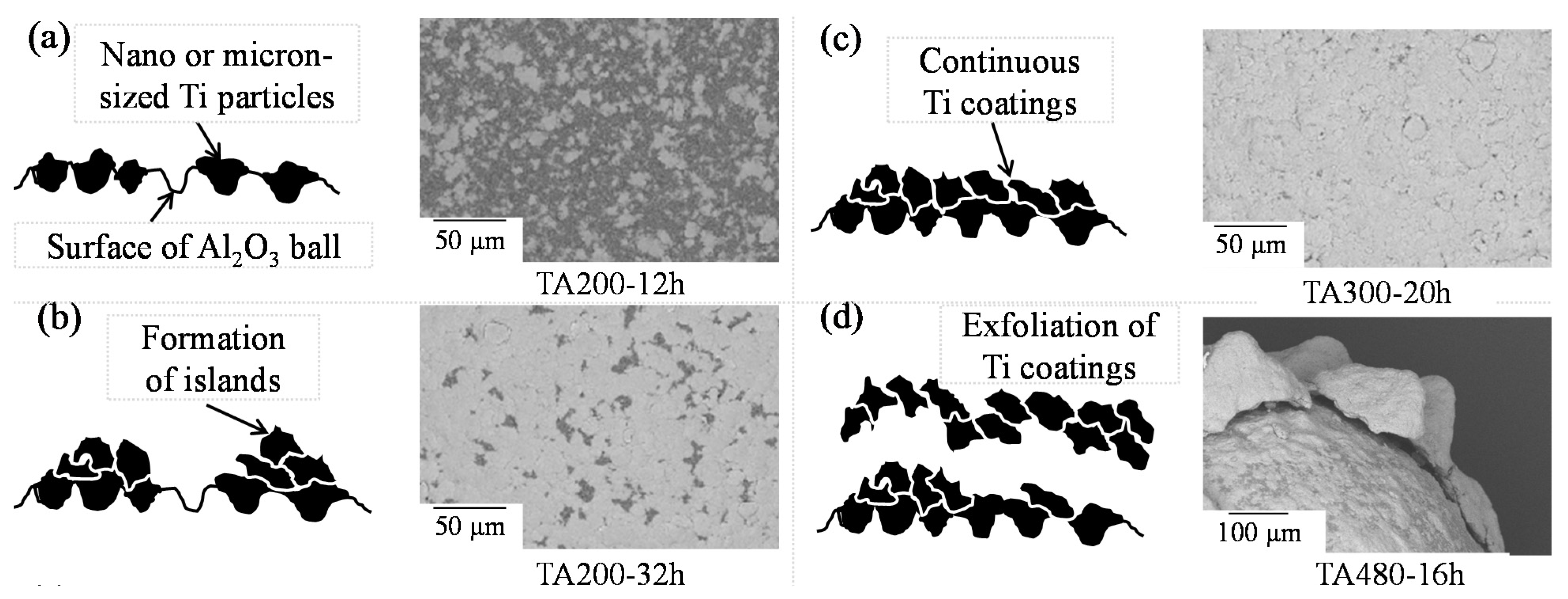 Coatings 05 00425 g019