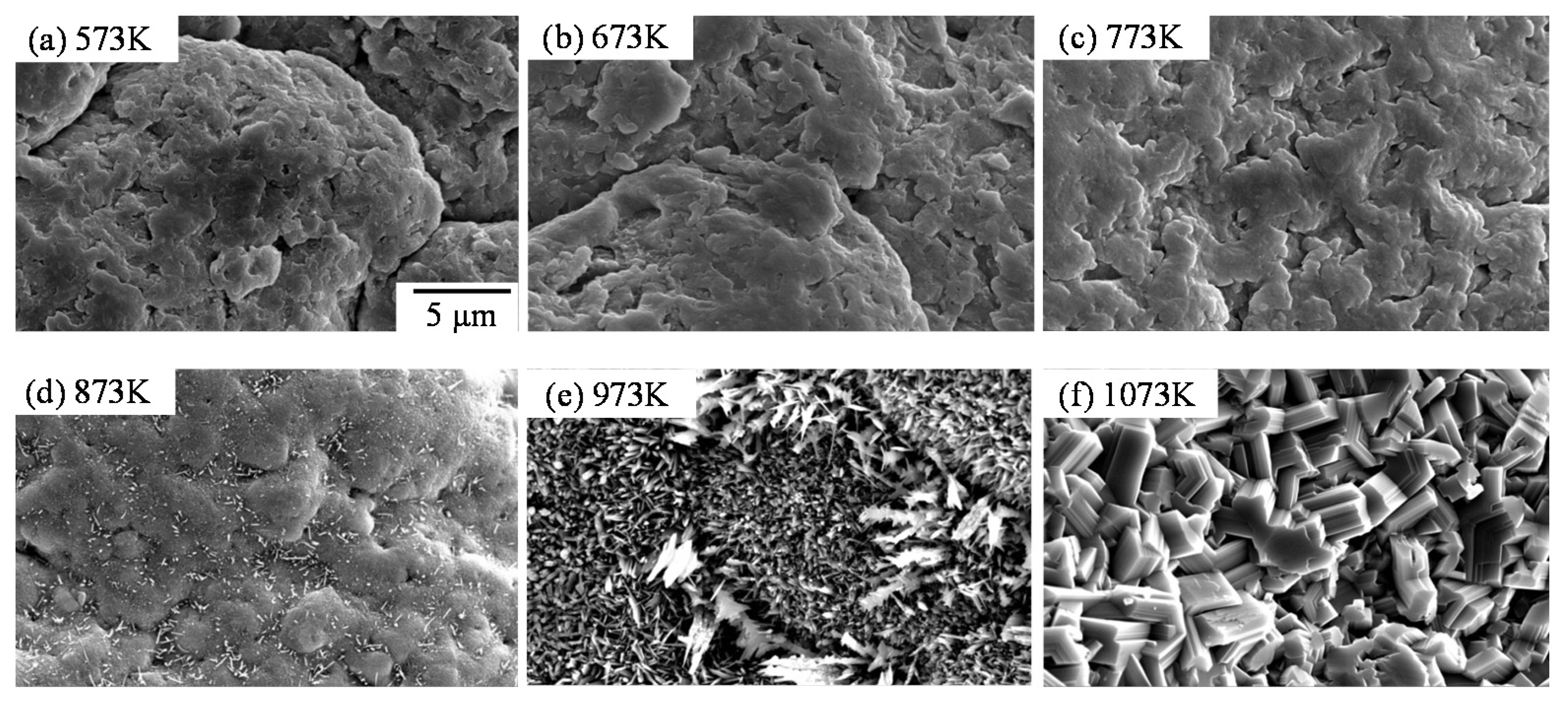 Coatings 05 00425 g026