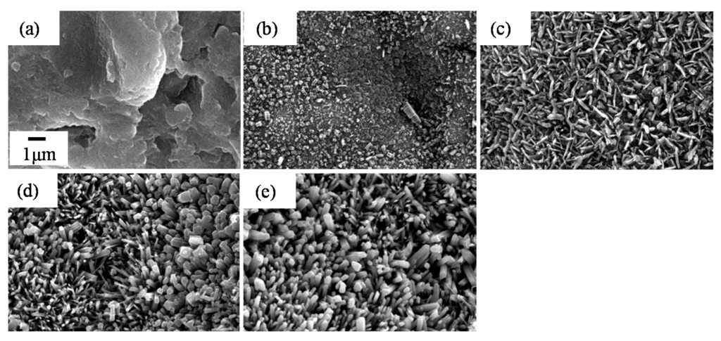 Coatings 05 00425 g032 1024