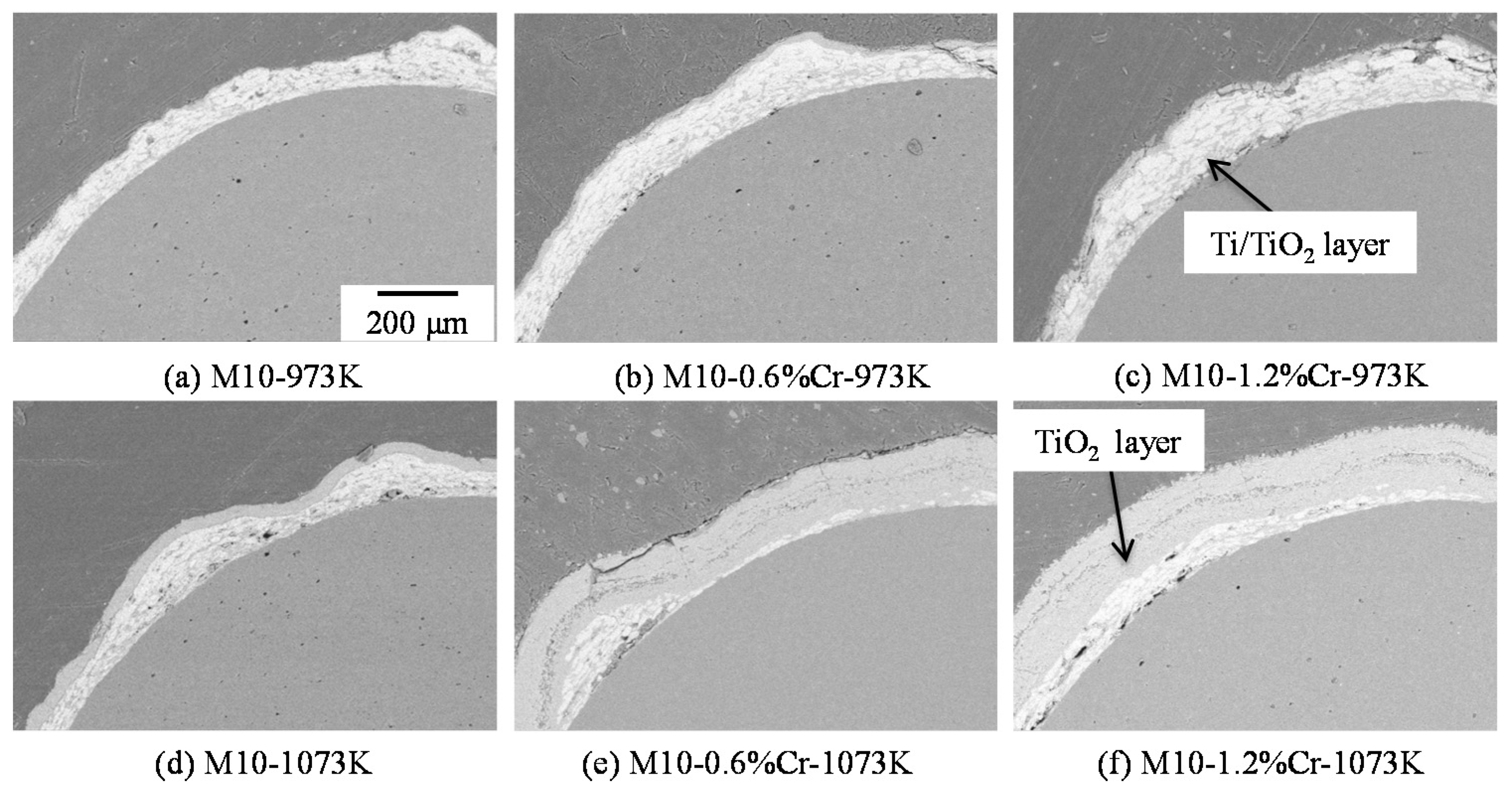 Coatings 05 00425 g052