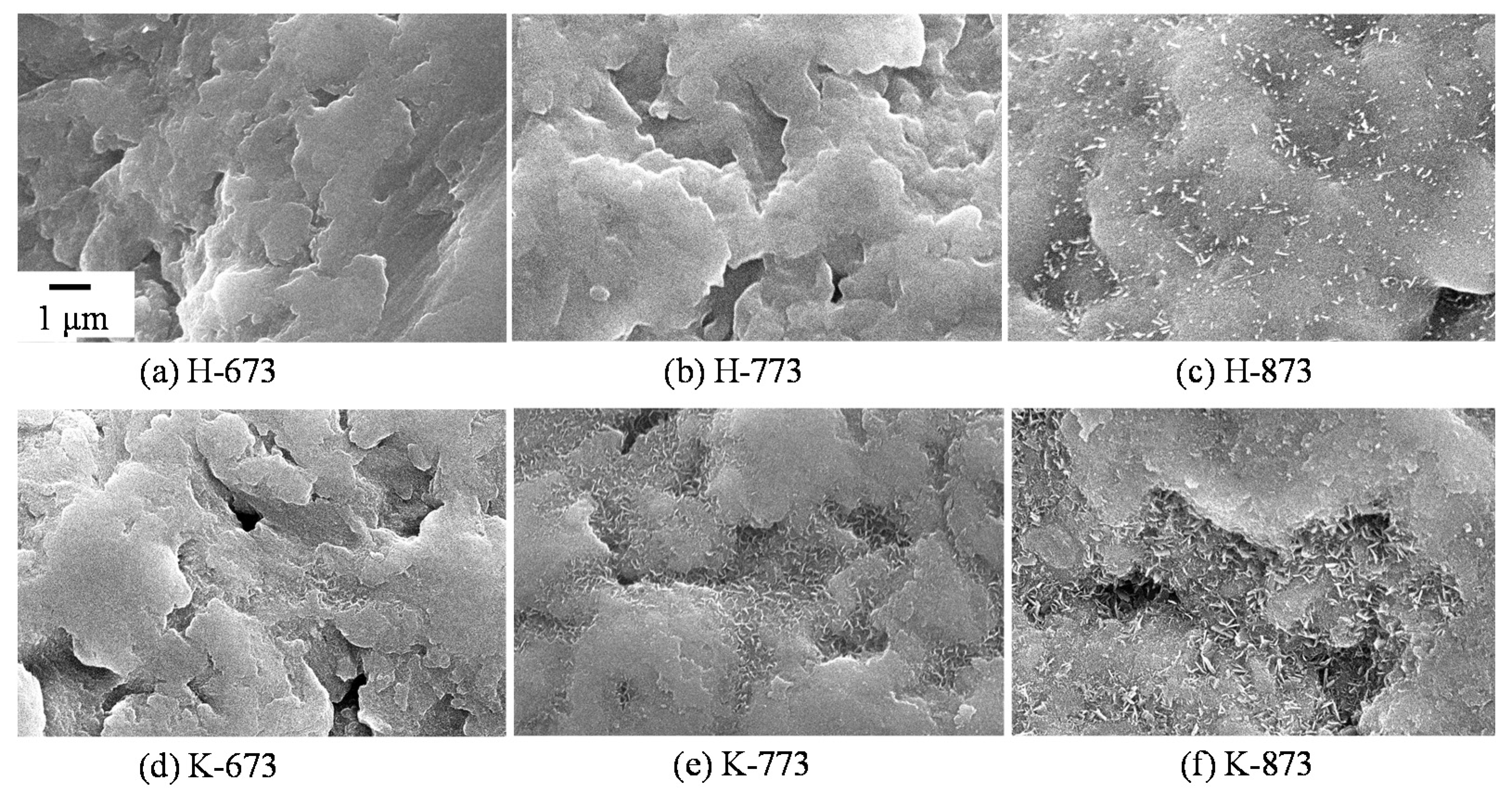 Coatings 05 00425 g056