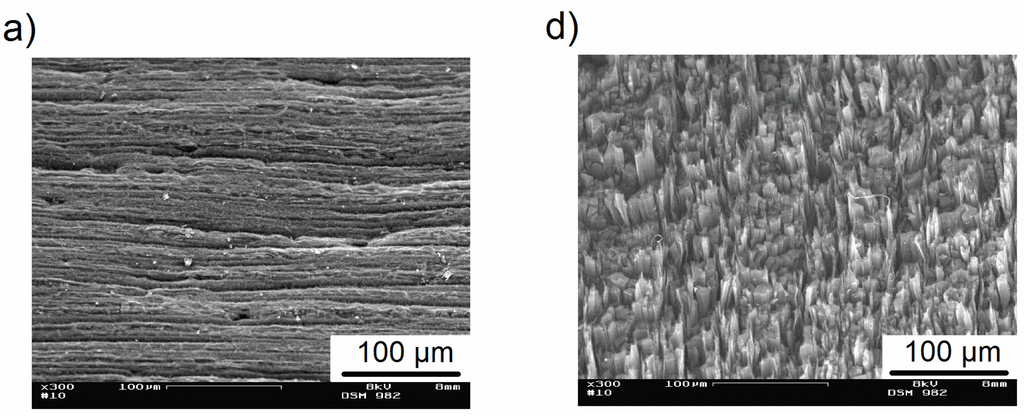 Coatings 05 00477 g003a 1024
