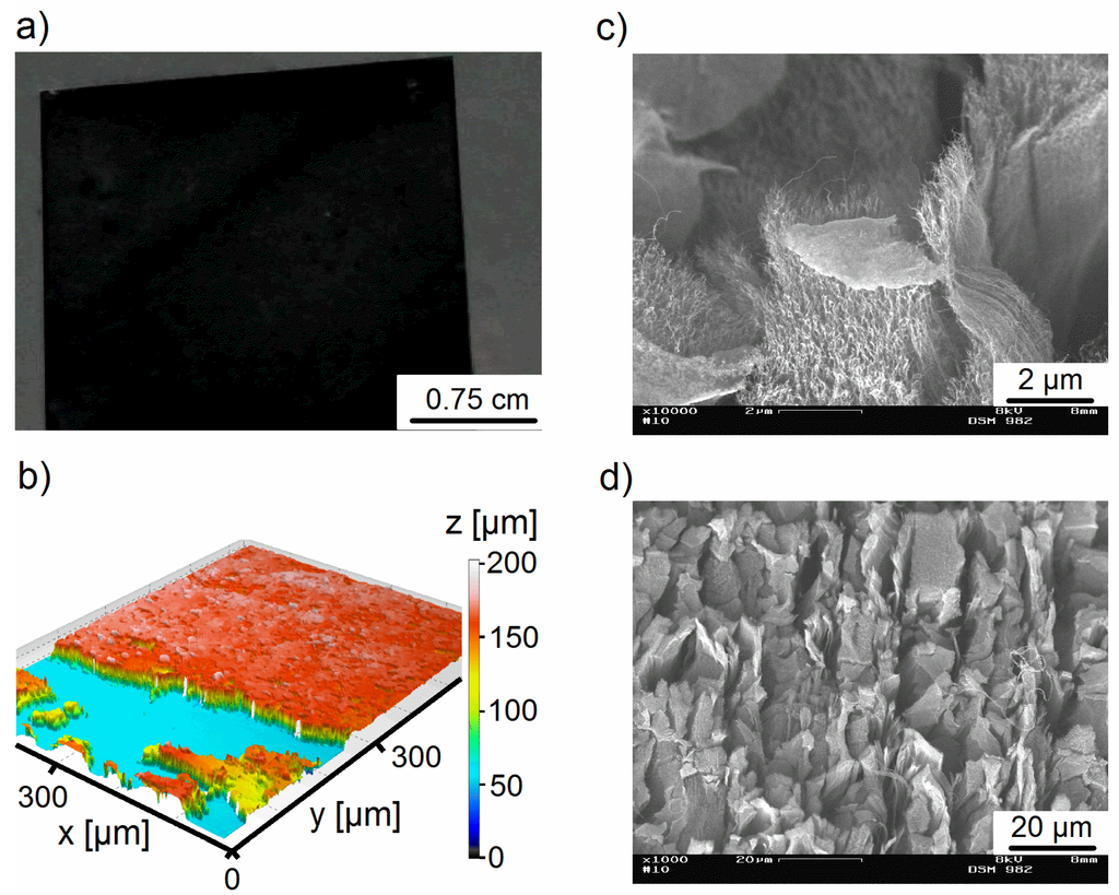 Coatings 05 00477 g004 1024