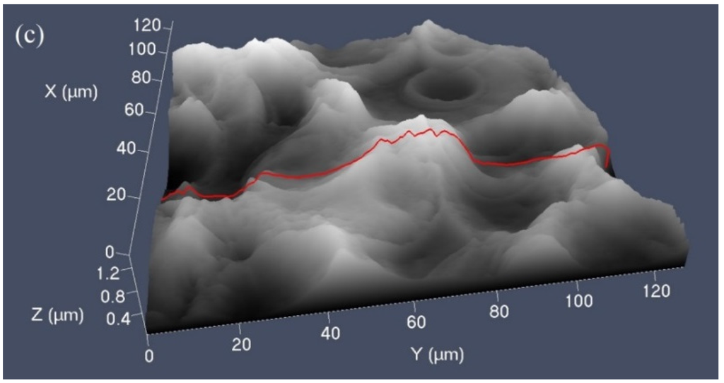 Coatings 05 00488 g004b 1024
