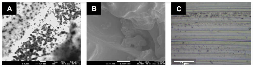 Coatings 05 00557 g005 1024