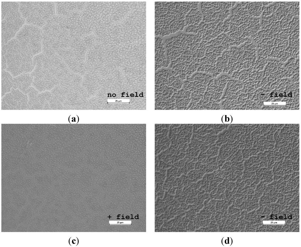 Coatings 05 00724 g003 1024