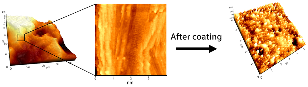 Coatings 05 00737 g006 1024