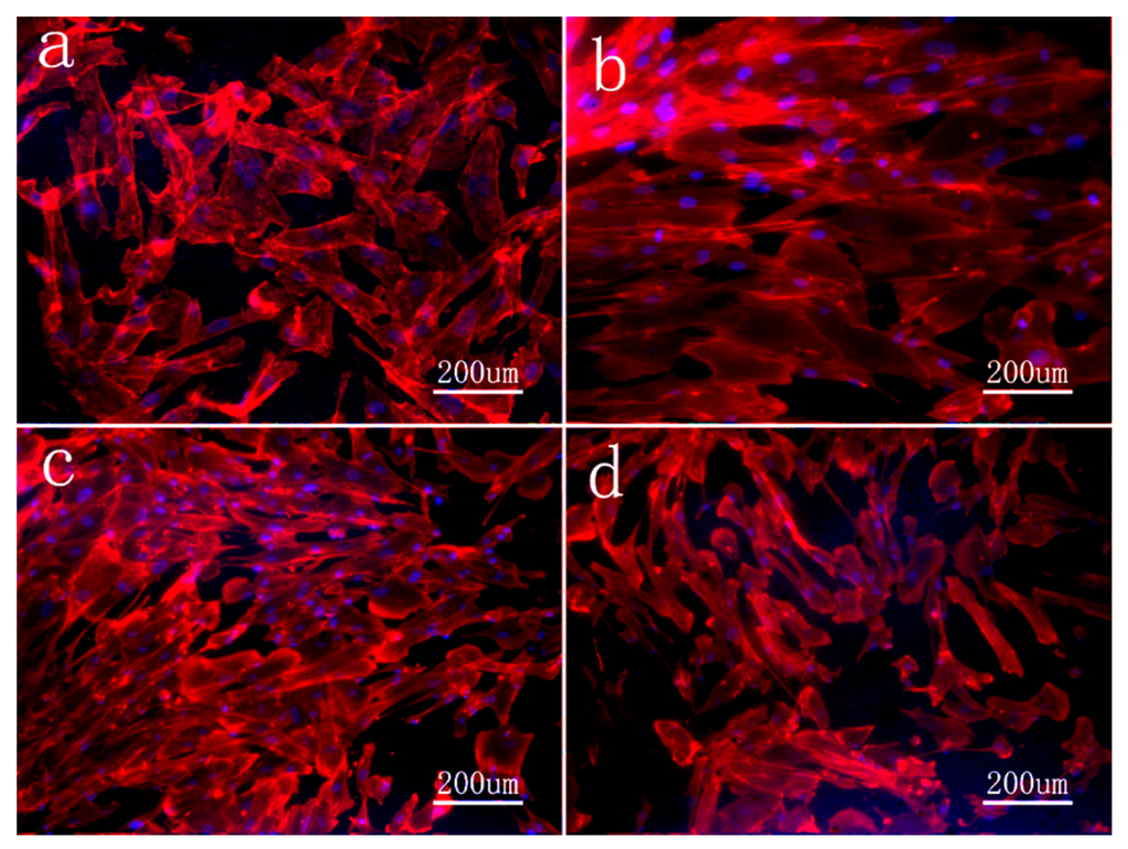 Coatings 05 00737 g007 1024