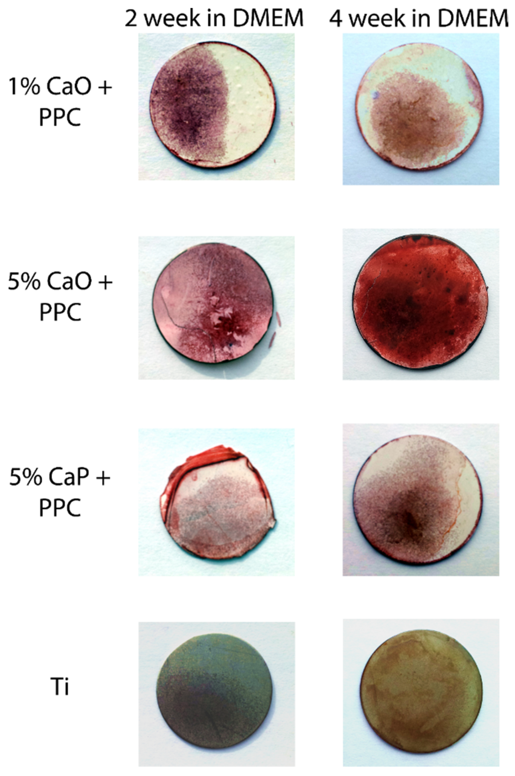 Coatings 05 00737 g010