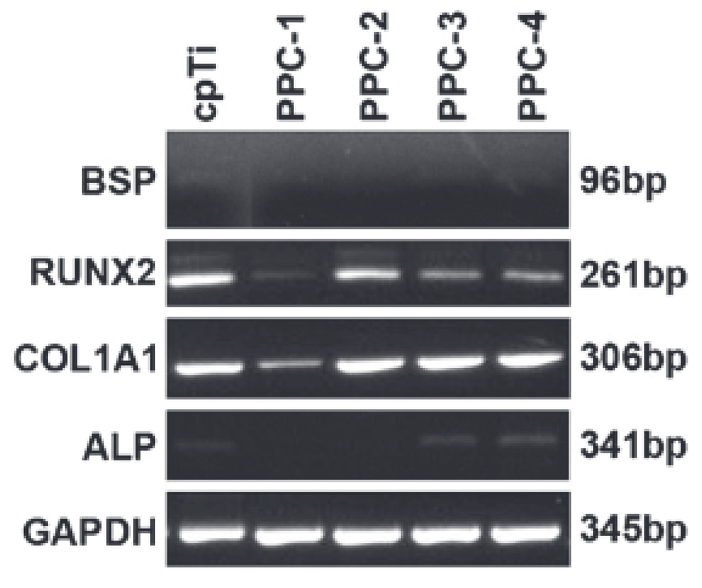 Coatings 05 00737 g013 1024